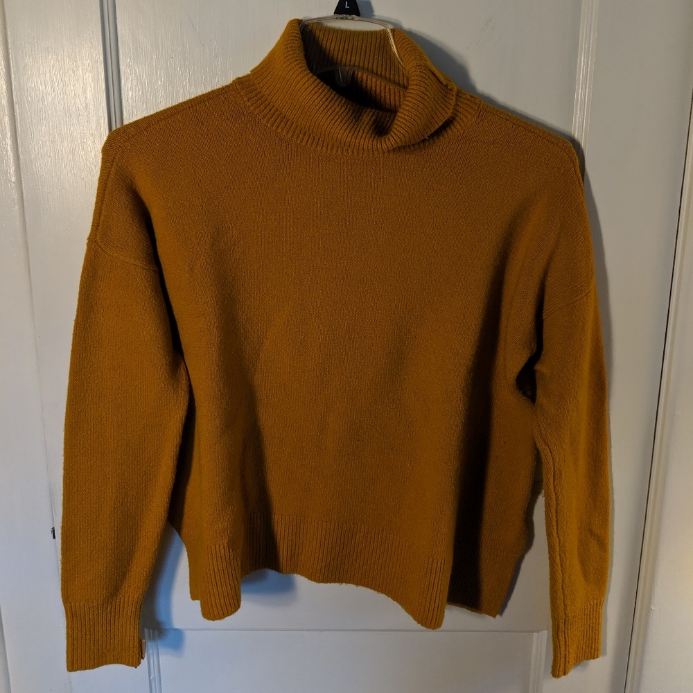 Loft turtleneck sweater
